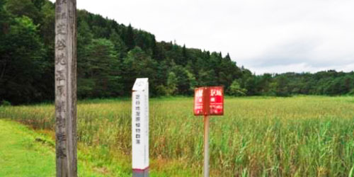 Shibayachi Wetland Plant Communities
