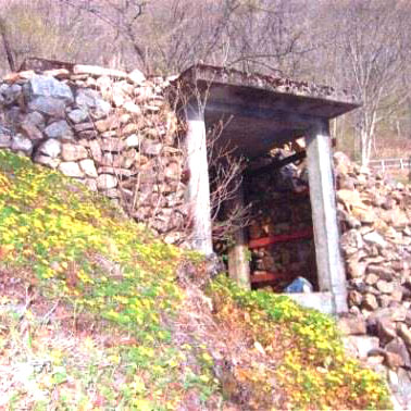 Nagabashiri Wind Caves Alpine Plant Communities